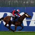 Scottish Grand National horse numbers 2024 – full list of runners and riders for HUGE race at Ayr